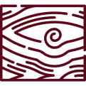 Aebischer